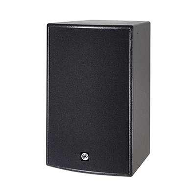 D-10（10"多功能两分频扬声器）